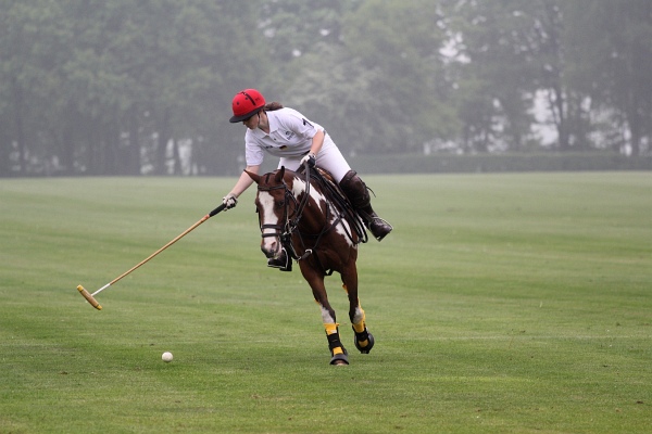 Polo_Art   072.jpg